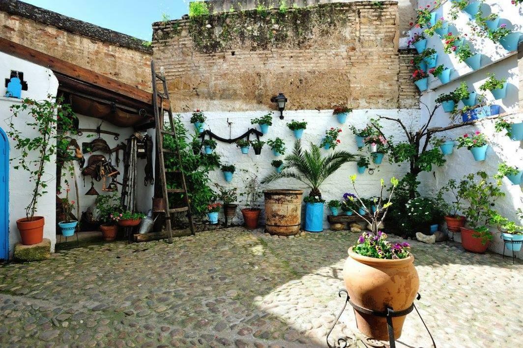 De Patios Guest house 2*